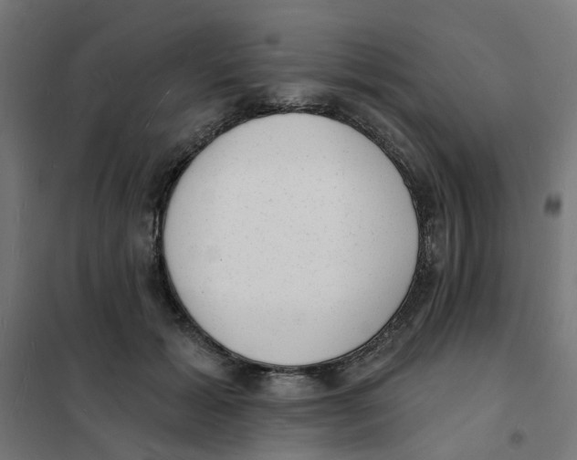 X0000101690605200808071136