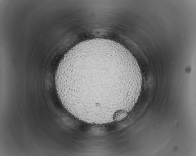 X0000101690606200808071136