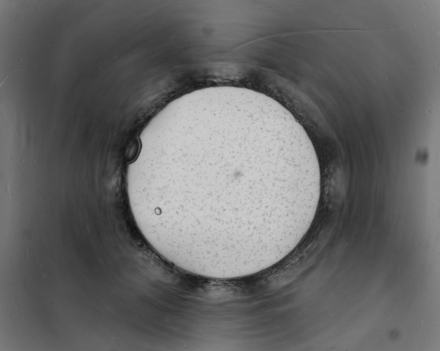 X0000101690608200808071136