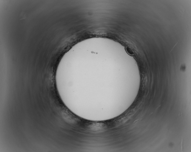 X0000101690609200808071136