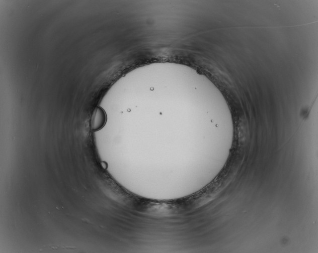 X0000101690611200808071136