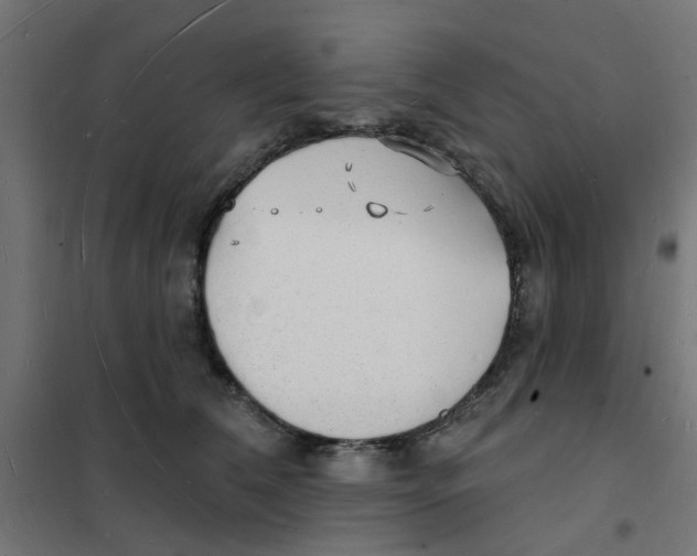 X0000101690612200808071136