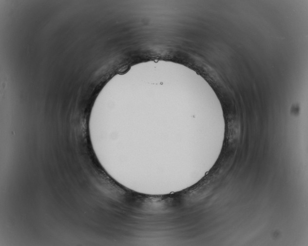 X0000101690613200808071136