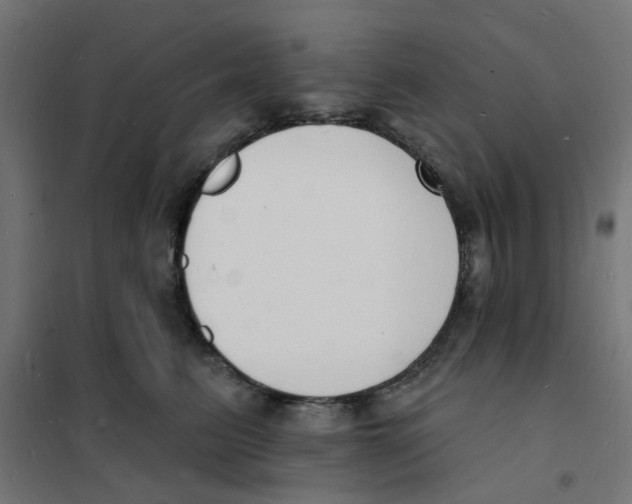 X0000101690615200808071136