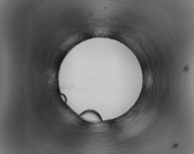 X0000101690619200808071136