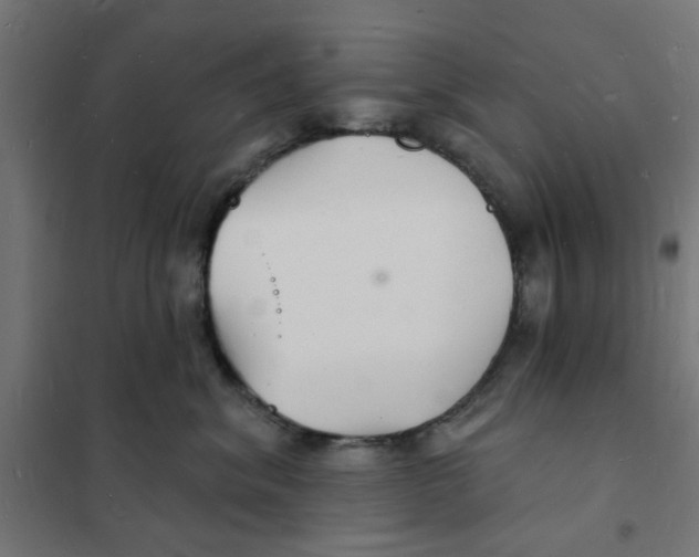 X0000101690620200808071136