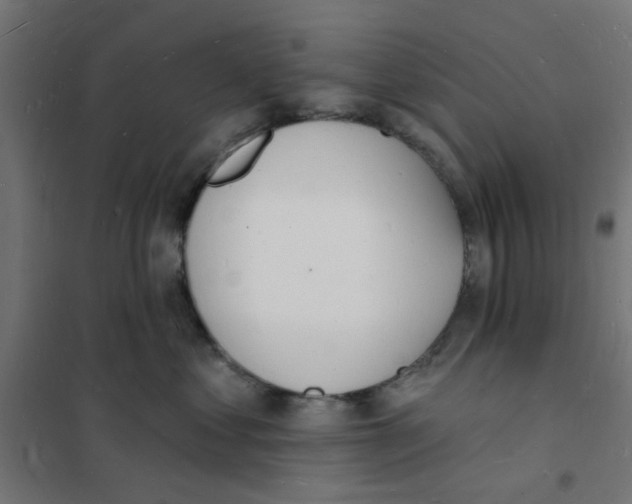 X0000101690621200808071136