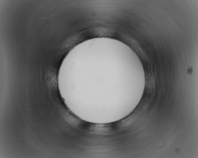 X0000101690622200808071136