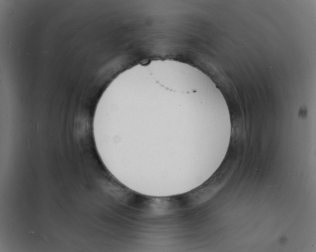 X0000101690623200808071136