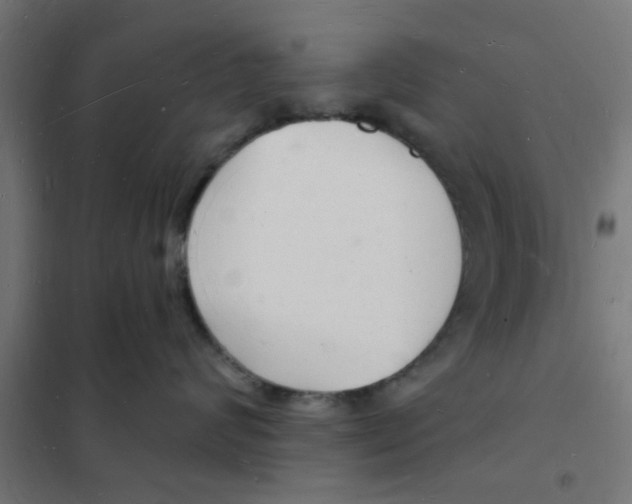 X0000101690624200808071136