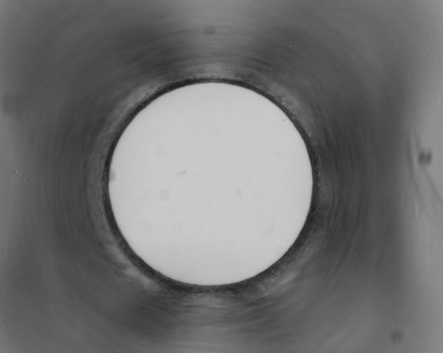 X0000101690625200808071135