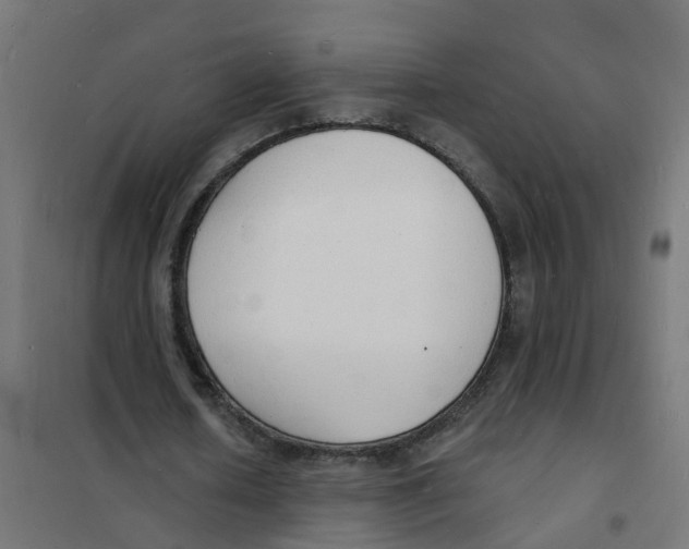 X0000101690626200808071135