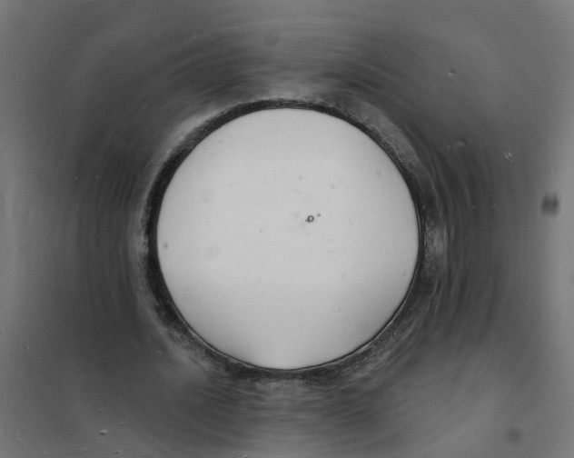 X0000101690628200808071135