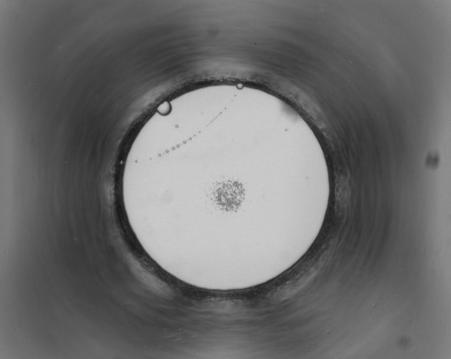 X0000101690629200808071135