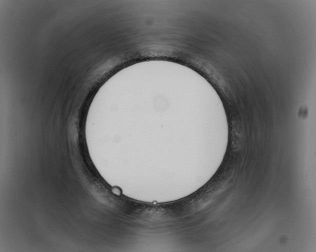 X0000101690631200808071135