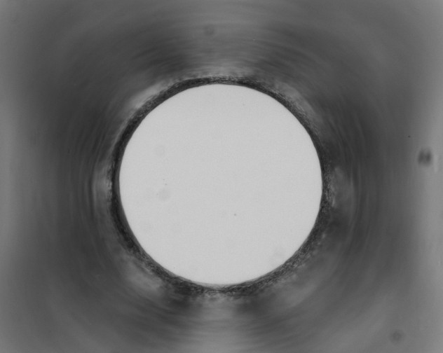 X0000101690632200808071135