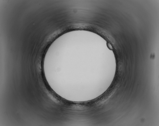 X0000101690633200808071135