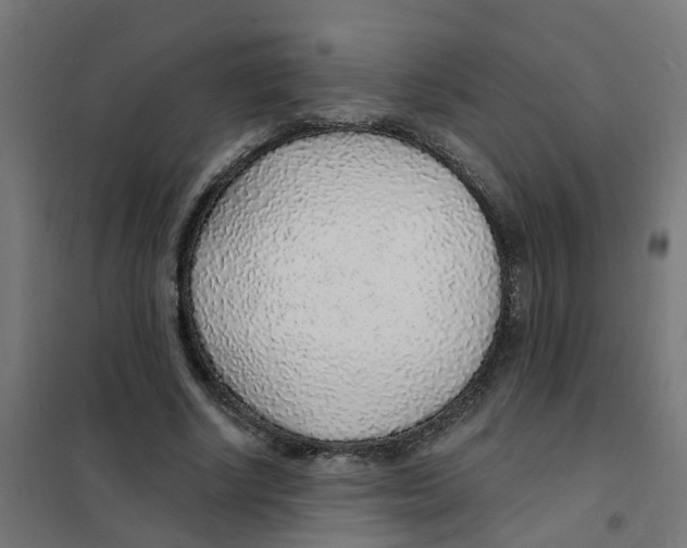 X0000101690634200808071135