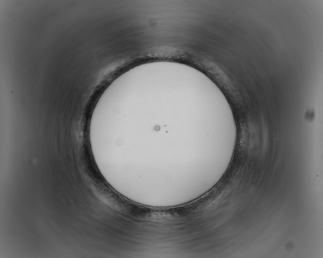 X0000101690636200808071135