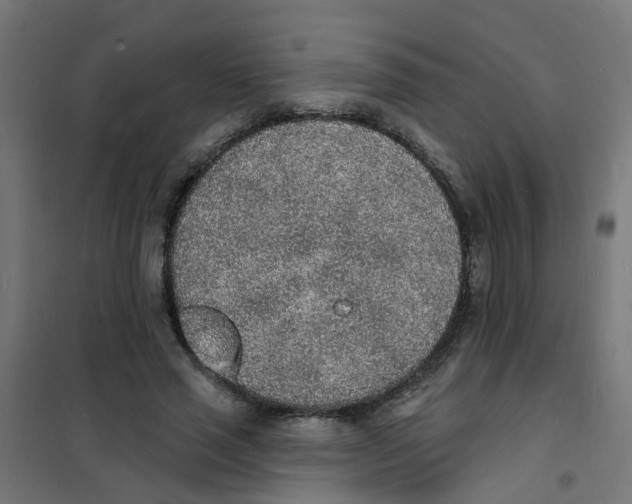 X0000101690637200808071135