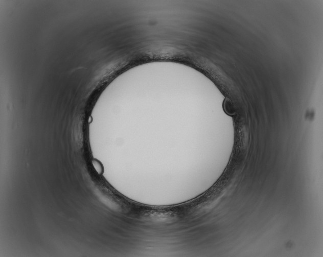 X0000101690638200808071135