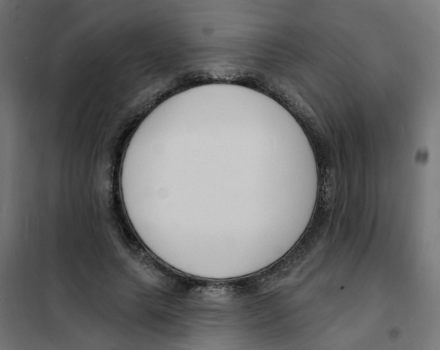 X0000101690639200808071135