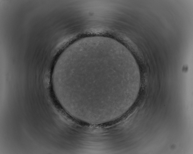 X0000101690640200808071135