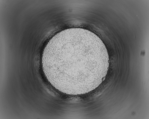 X0000101690642200808071135