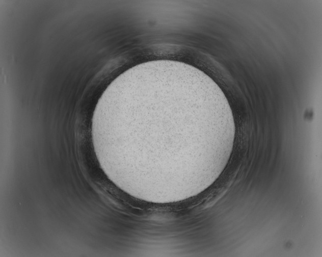 X0000101690644200808071135