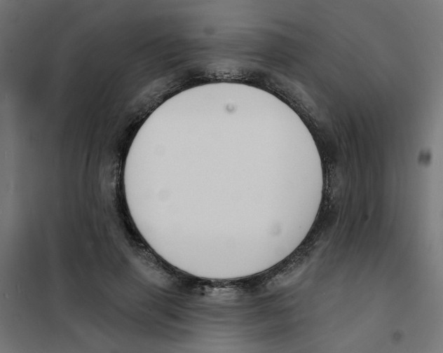 X0000101690645200808071135