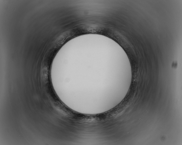 X0000101690646200808071135