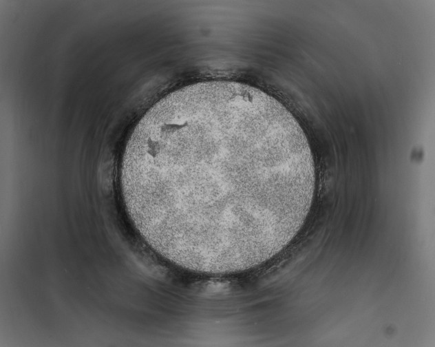 X0000101690647200808071135