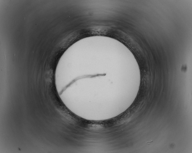 X0000101690649200808071135