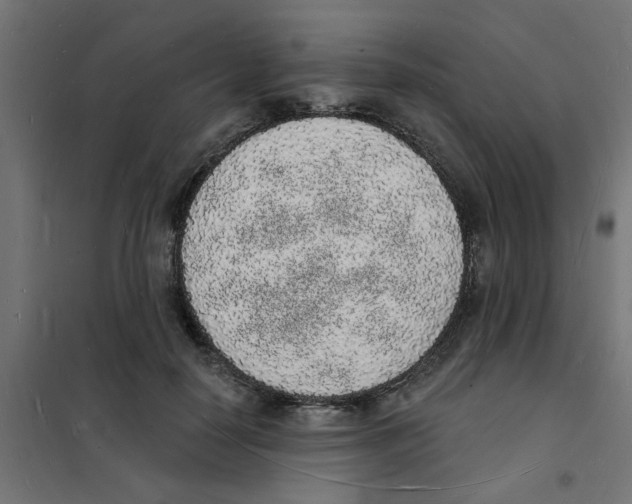 X0000101690650200808071135