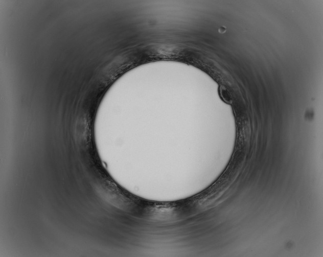 X0000101690651200808071135