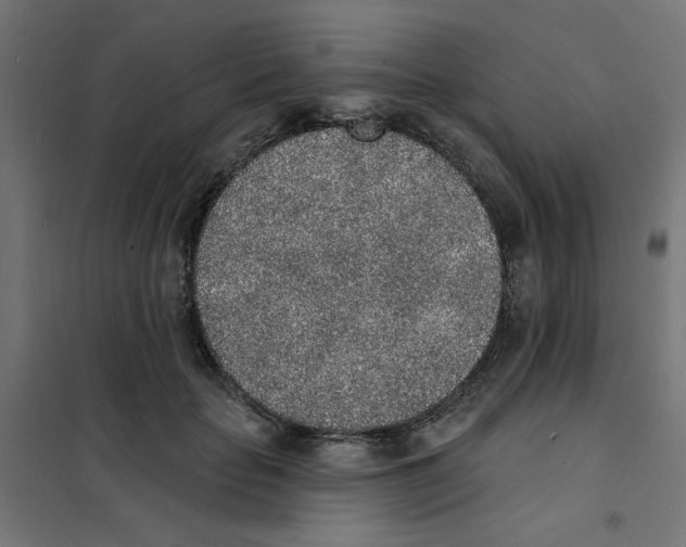 X0000101690653200808071135