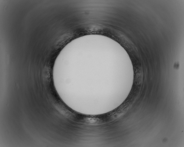 X0000101690654200808071136