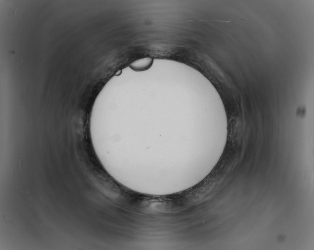 X0000101690655200808071136