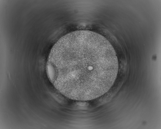 X0000101690659200808071136