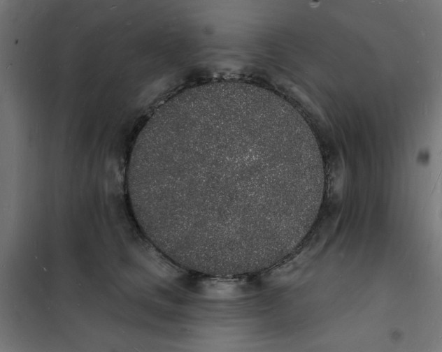 X0000101690661200808071136