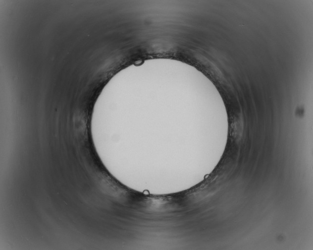 X0000101690662200808071136