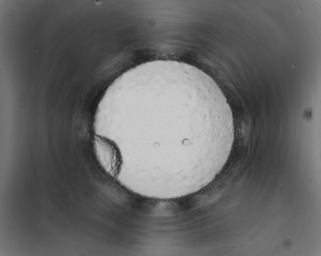 X0000101690663200808071136