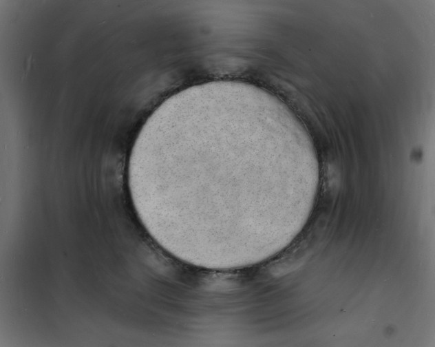 X0000101690664200808071136