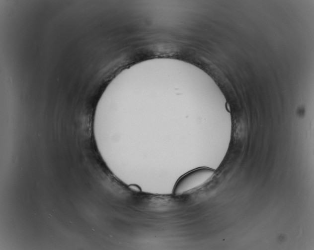 X0000101690666200808071136