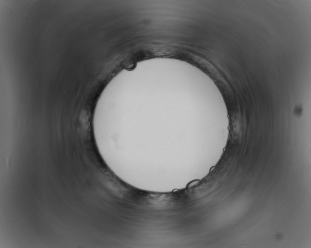 X0000101690667200808071136