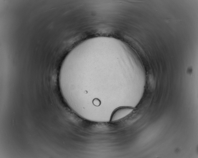 X0000101690668200808071136