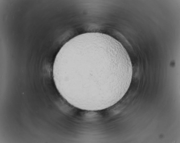 X0000101690669200808071136