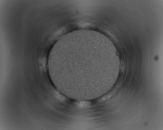 X0000101690670200808071136