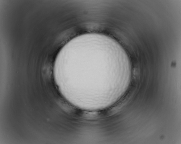 X0000101690671200808071136