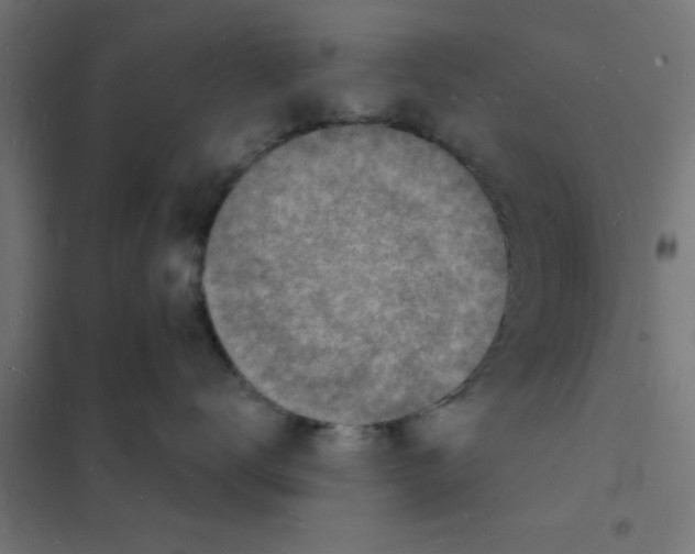 X0000101690672200808071136